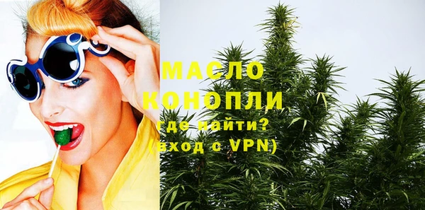 Альфа ПВП Горняк