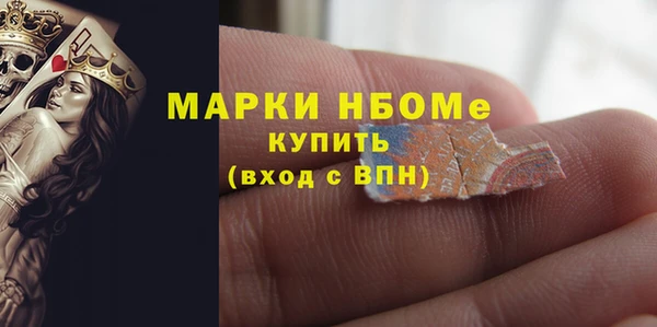 Альфа ПВП Горняк