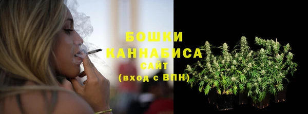 Альфа ПВП Горняк