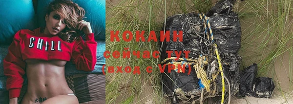 Альфа ПВП Горняк