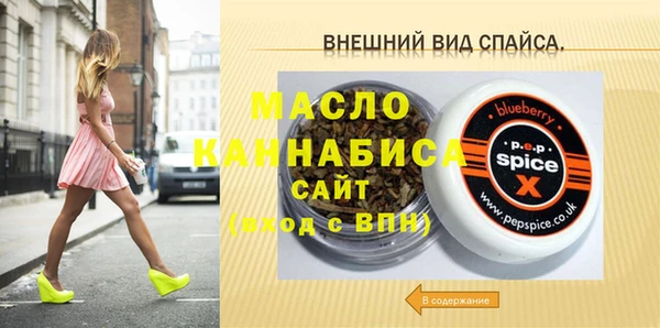 Альфа ПВП Горняк