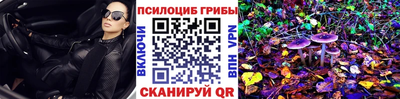 Псилоцибиновые грибы ЛСД  ОМГ ОМГ ССЫЛКА  дарк нет как зайти  Пестово 